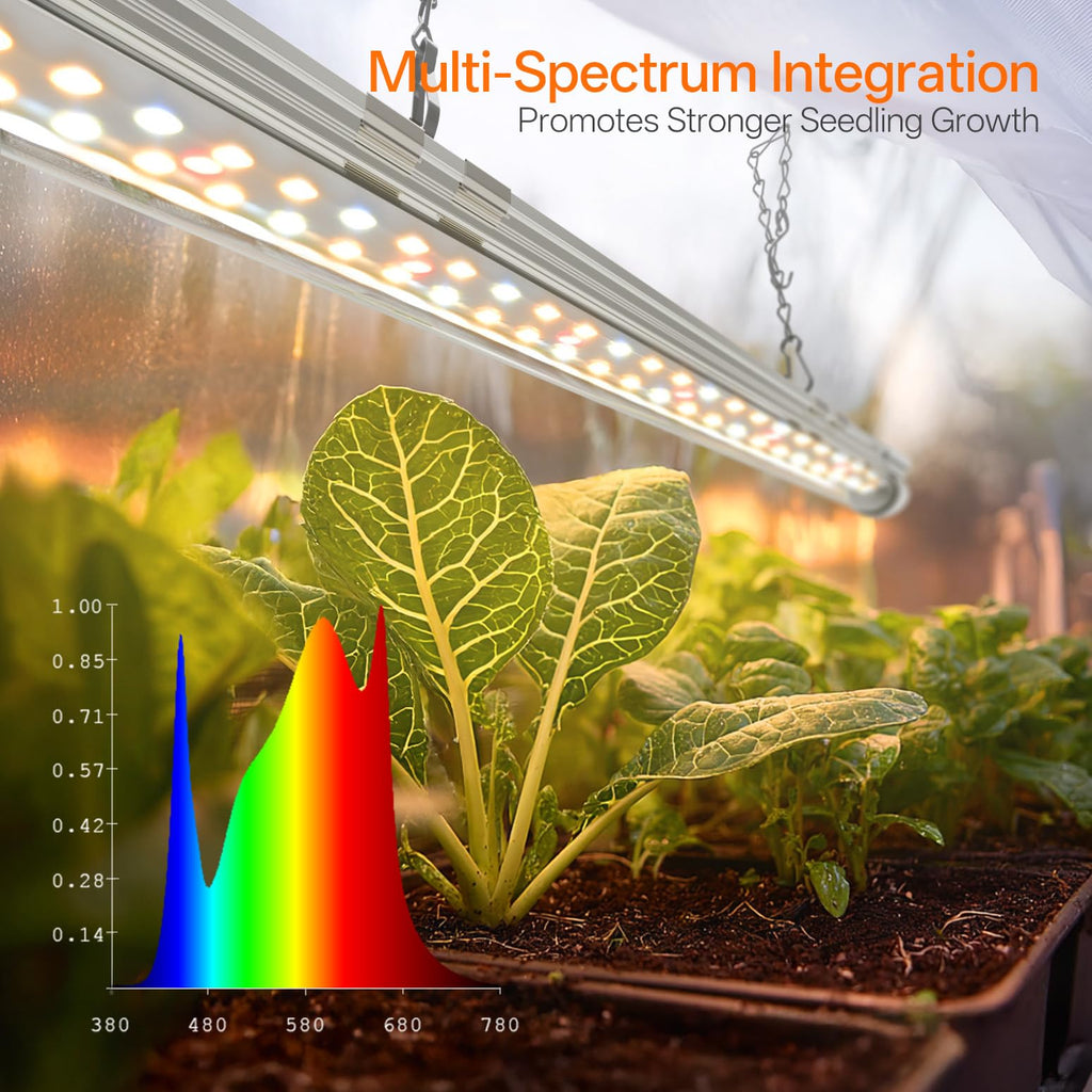 Bstrip Mini Indoor Greenhouse with Grow Light, Tabletop Seed Starting Tent