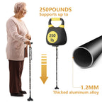 Hedkin Walking Cane with LED Light, Foldable,Adjustable, Self Standing Walking Canes for Men & Women,Walking Sticks with Quad Base for Seniors & Adults