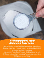 BulkSupplements.com Creatine Monohydrate Powder - Micronized Creatine Powder, Unflavored - Pure & Gluten Free, 5g per Serving, 500g (1.1 lbs) (Pack of 1)