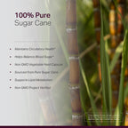 Anew Vitaㅤ Policosanol Supplement - Healthy Lipid Levels, Platelet Function & Circulation, Cuban Sourced Sugarcane, 40mg per Serving, Non-GMO, Gluten-Free - 120 Veggie Capsules, Made in USA