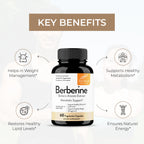 Sandhu's Berberine HCL Supplement 500mg per capsule with 97% Pure Berberis Aristata Extract| 60 count| Supports Weight Management & Healthy Energy levels| Made in USA, Vegetarian, Non-GMO, Gluten Free