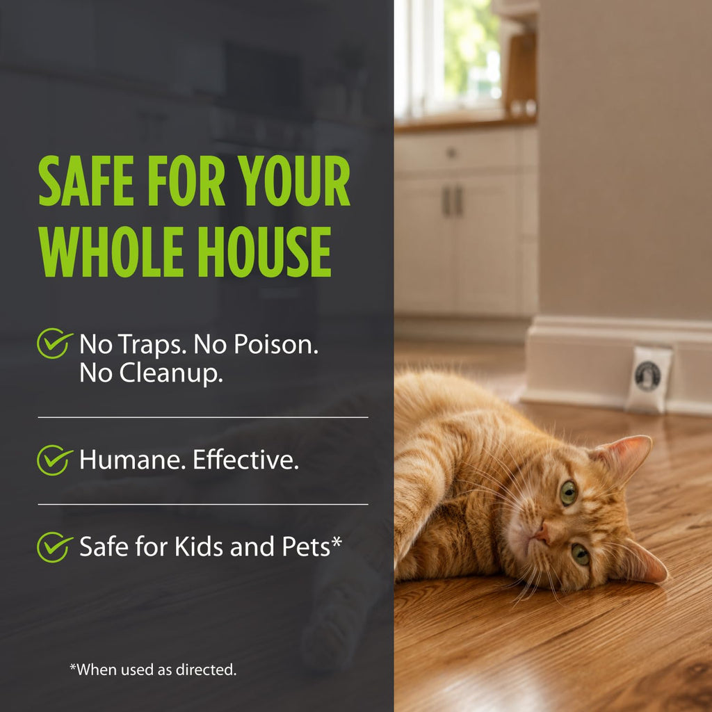 Grandpa Gus's Natural Mouse Repellent Pouches, Cinnamon/Peppermint Oils Repel Mice from Nesting in Home/Cabin/Boat/Car Storage/RV/Machinery/Shed (10 Pouches)