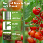 SOUNDVALUE 3 Pack Tomato Cage with 10 Gallon Grow Bag for Garden Balcony