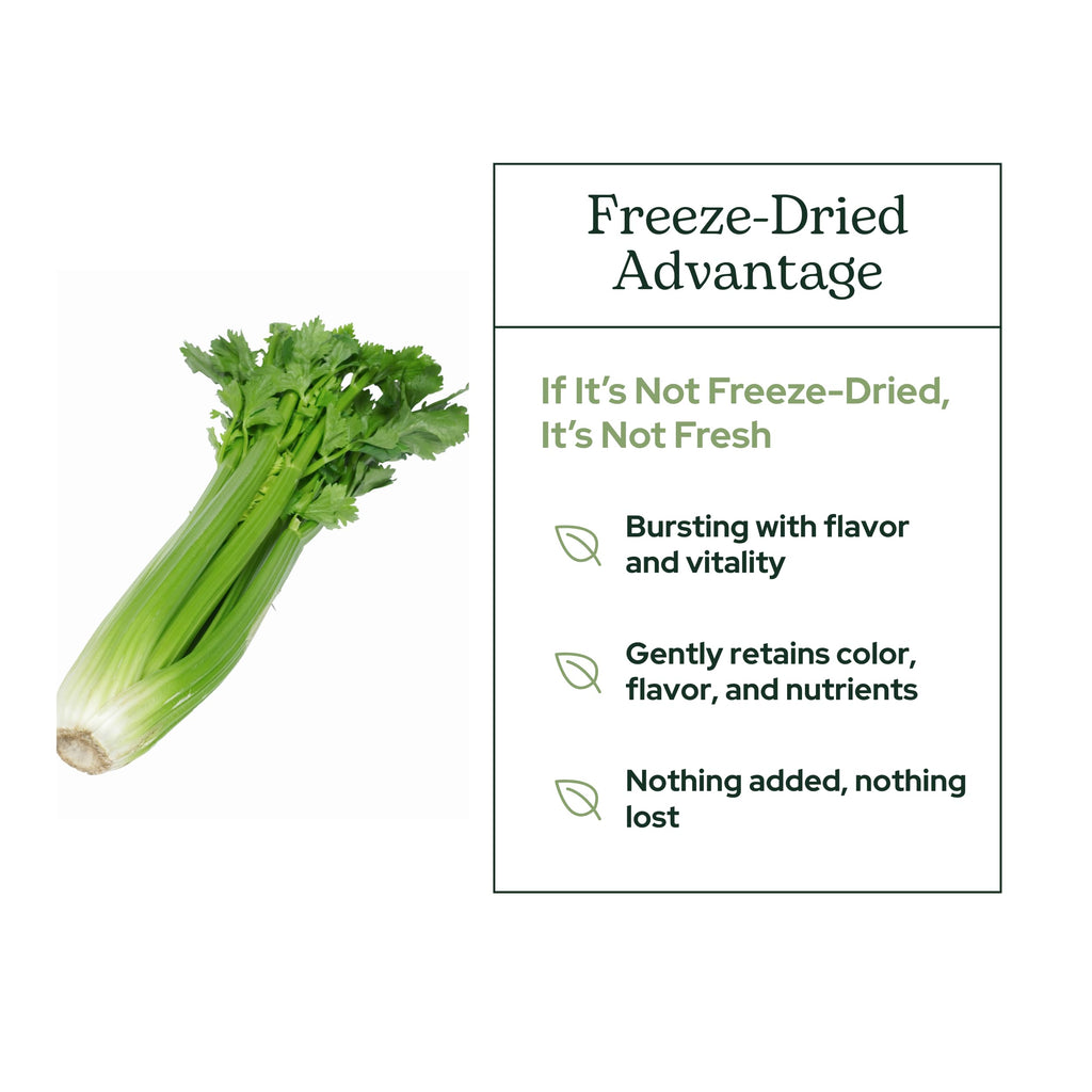 Eclectic Herb - Organic Celery Juice Powder | Nutritional Supplement | Hydration + Wellness Support, Vitamins + Minerals | Freeze Dried, USDA Organic, Non-GMO, Vegan, Gluten Free (3.2 oz | 90 g)