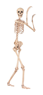 Crazy Bonez Original Pose-N-Stay Halloween Skeleton, 5 FT – Life-Size