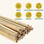 Cambaverd Bamboo Stakes 4ft, Thicker Plant Stakes with Garden Twine,20 Pack