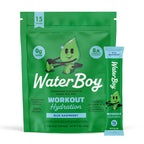 Waterboy Workout Hydration | 2,960mg Sugar Free Electrolyte Powder Packets | L-Glutamine + Vitamins | No Sugar, All Natural, Gluten Free | 15 Drink Stick Mixes (Blue Raspberry)