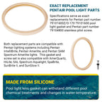 AR-PRO 8 3/8" Pool Light Lens Gasket - Exact Replacements for Pentair Part Numbers 79101600Z and 79104800 - Works with Pentair IntelliBrite, AmerLite, and SAM Amerlite Lights，Set of 3