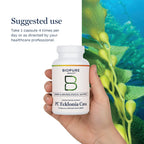 BioPure PC Ecklonia Cava Capsules – Marine Polyphenol Complex from Brown Seaweed, Rich in Phlorotannins, Trace Minerals & Nutrients for Cellular Health, Circulation & Immune Support – 75 Capsules