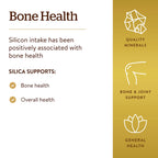 Solgar Oceanic Silica from Red Algae 25 mg,100 Vegetable Capsules - Excellent Source of Calcium,Supports Bone Health - Non-GMO,Vegan,Gluten Free,Dairy Free,Kosher - 50 Servings,(Pack of 2)