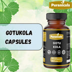 Puranicals Gotu Kola Premium 320 Capsules Non GMO and Gluten Free | Herbal Supplement | 600 mg Per Serving | Made with 100% Pure Gotu Kola Powder