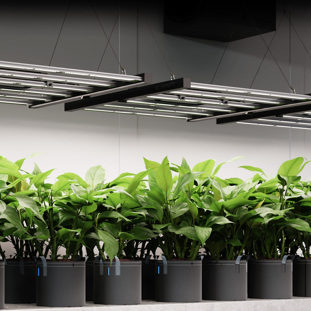 AC Infinity IONFRAME EVO6, Samsung LM301H EVO Bar LED Grow Light 4x4