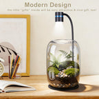 Yeeweek Glass Plant Terrarium with LED Grow Light for Home Office