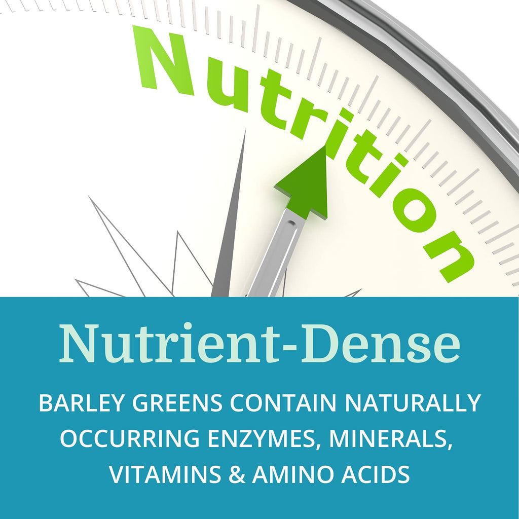 Morter HealthSystem Alka•Green Tablets Best Process Alkaline — Nutrient Dense Organic Barley Grass Supplement — Natural Source of Enzymes & Amino Acids