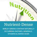 Morter HealthSystem Alka•Green Tablets Best Process Alkaline — Nutrient Dense Organic Barley Grass Supplement — Natural Source of Enzymes & Amino Acids