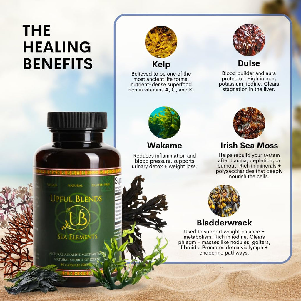 Upful Blends® Sea Elements | Ultimate Sea Veggie Multivitamin | Irish Moss, Kelp, Wakame, Dulse | Supports Skin, Gut Health, and Brain Function | Natural, Vegan, Non-GMO (80 ct)