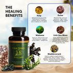Upful Blends® Sea Elements | Ultimate Sea Veggie Multivitamin | Irish Moss, Kelp, Wakame, Dulse | Supports Skin, Gut Health, and Brain Function | Natural, Vegan, Non-GMO (80 ct)