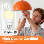 Sylvania LED Light Bulb, 40W Equivalent A19, Efficient 6W, Medium Base, Frosted Finish, 450 Lumens, Soft White (74079) (Pack of 1, 4 Count Total)