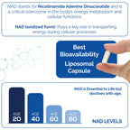 HARMONIFY NAD Supplement 60 Capsules, Proudly USA Company, Non-GMO & Gluten Free, 1 Month Serving, 1000 Mg Per Serving