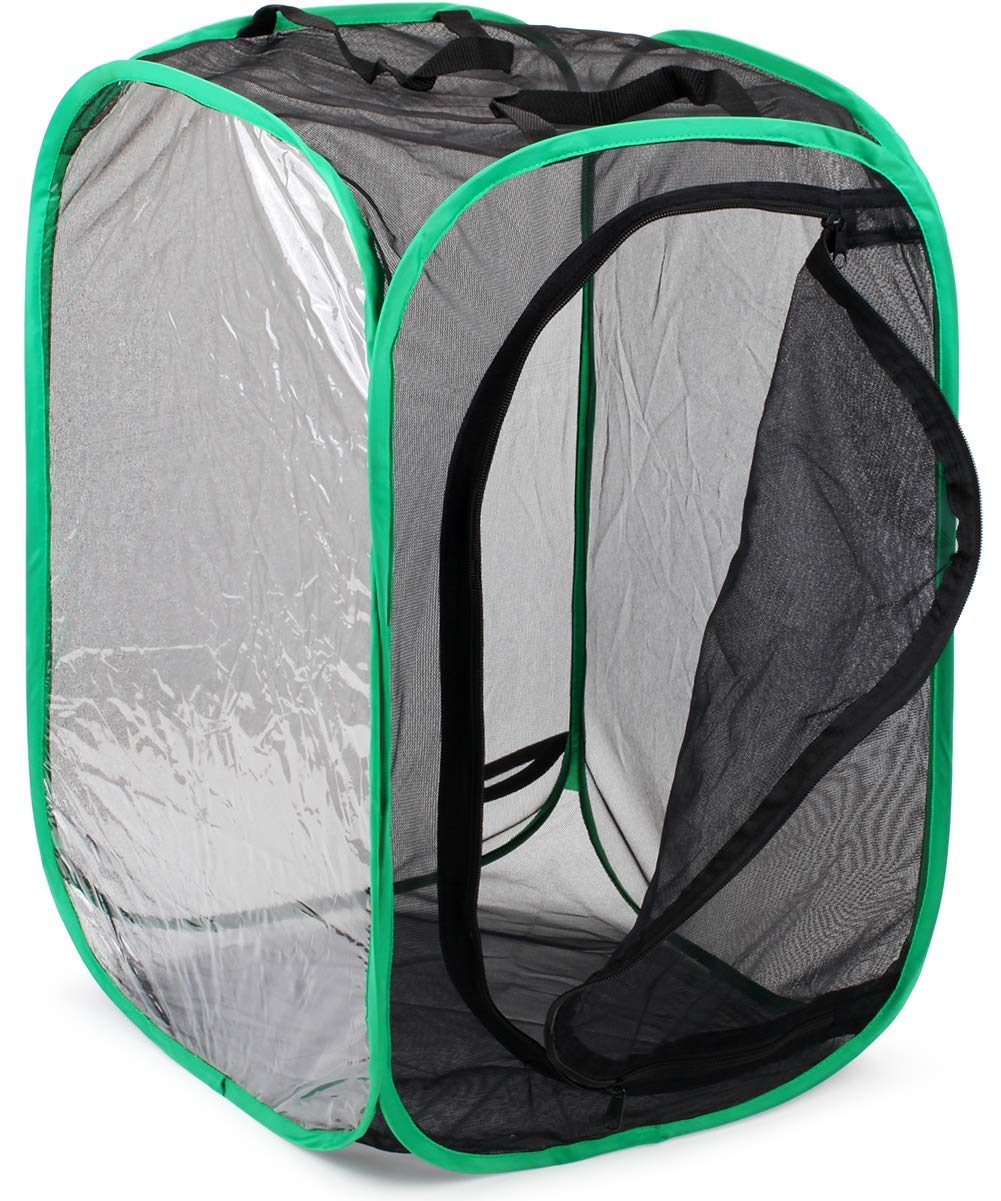 RESTCLOUD Insect and Butterfly Habitat Cage Terrarium Pop-up 23.6 Inches Tall