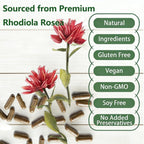 Nerve Savior Black Queen Rhodiola Rosea Capsules 500mg - 60 Capsules