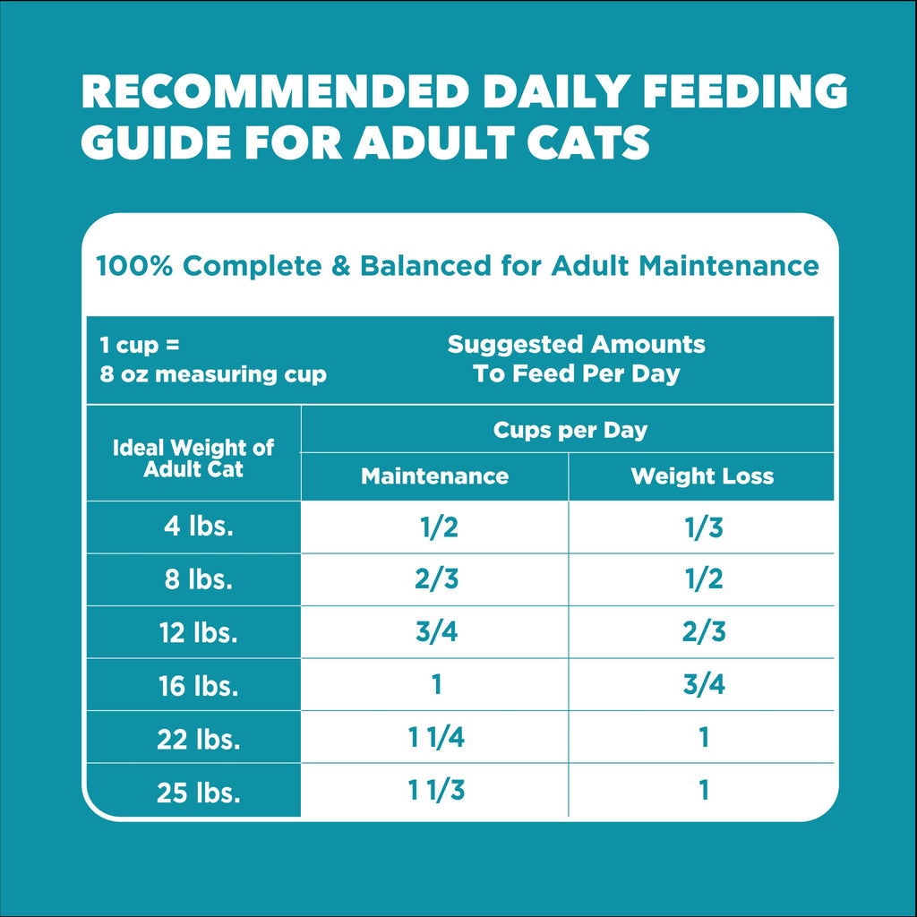 IAMS Proactive Health Indoor Dry Cat Food, Chicken & Turkey, 16 lb