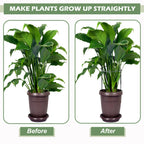 12 Pack Plant Support Stake Peony Cages, 16 Inch Peony Supports for Outdoor Plants, with 15 Pcs Plant Labels, 20 Pcs Plant Clips, 7ft Plant Ties