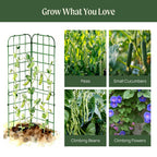 Vego Garden A-Frame Trellis Cucumber Cage for Garden & Pots, Rust-Resistant Tomato Stakes Heavy Gauge Plant Cage Trellis Support for Climbing Vegetables Plants 2 Pack