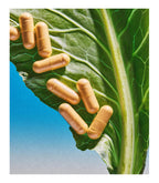 THEROOTBRANDS Root Wellness Zero-in by Dr. Rahm - Combination of Turmeric, Pine Bark Extract - 15 Capsules