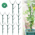 Upgrade Stackable Monstera Plant Support,2026 New Durable Garden Plant Support Stakes for Indoor Outdoor Potted Plants,Garden Accessories Plant Sticks for Vine Training Stem Stabilization (5, Green)