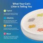 PrettyLitter Health Monitoring Cat Litter, Lotus Flower, 6 lb. Bag