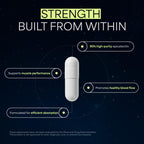 NÜCLEO FUNDAMENTALS High Purity Epicatechin - 90 Capsules - Promotes Strength & Muscle Growth - Nitric Oxide Support - for Daily Performance - Epicatechin Supplements Made in USA