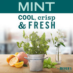 Mrs. MEYER'S CLEAN DAY All-Purpose Cleaner Spray,Limited Edition Mint,16 fl. oz,(Pack of 6)