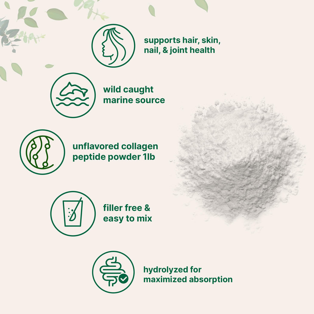 Micro Ingredients Marine Collagen Peptides Powder, 1 lb | Type I Marine Collagen + Natural Protein | Wild-Caught Fish Source | Unflavored | Pescatarian, Non-GMO
