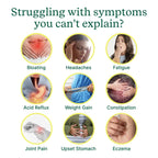 Check My Body Health 990 Items Complete Food Sensitivity Test Kit for Adults and Kids – Non-Invasive Food Intolerance Test Kit – At-Home Hair Sample Bioresonance Testing with Results in 3–5 Days