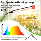 FRGROW 4Head Grow Light with Stand for Tall Indoor Plants, Bonsai Tree, Bright Full Spectrum Plant Growing Lamps, 4/8/12/16/20H Timer, 36 Watt Power Draw, NO Need Adapter, 360° Gooseneck