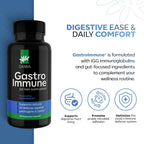 Daiwa GastroImmune - Gut Health and Immunity Supplement - Non-GMO, Protein-Based Formula for Digestive Wellness – 60 Capsules