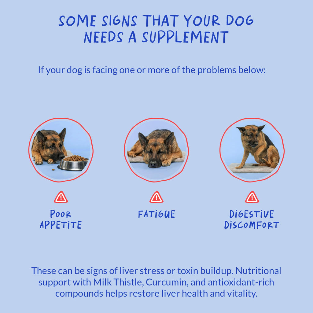 Milk Thistle for Dogs - 90 Soft Chews - Liver and Kidney Support - Hepatic Support with EPA & DHA - Detox - Liver Supplement for Dogs with Choline and L-Arginine.