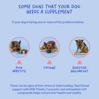 Milk Thistle for Dogs - 90 Soft Chews - Liver and Kidney Support - Hepatic Support with EPA & DHA - Detox - Liver Supplement for Dogs with Choline and L-Arginine.