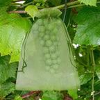 Uigidori 100 Pcs Fruit Protection Bags, 8 x 12 Inch Green Netting Cover Bags with Drawstring, Pest Barrier for Trees, Garden Cover Mesh Bags for Plant Fruit, Flower and Vegetables