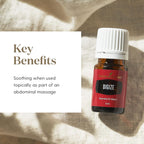 Young Living DiGize Essential Oil 15ml | Aromatherapy Blend with Peppermint & Ginger | Invigorating Diffuser Use & Relaxing Scent for Everyday Rituals