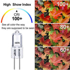 Vinaco G4 Halogen Bulb 12V 10W 2800K Warm White for Cabinet Lighting