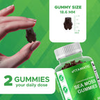 Vitamatic Irish Sea Moss Gummies with Bladderwrack & Burdock Root – Botanical Extract Supplement – Vegan, Non-GMO – 60 Count - 2 Pack (120 Count)