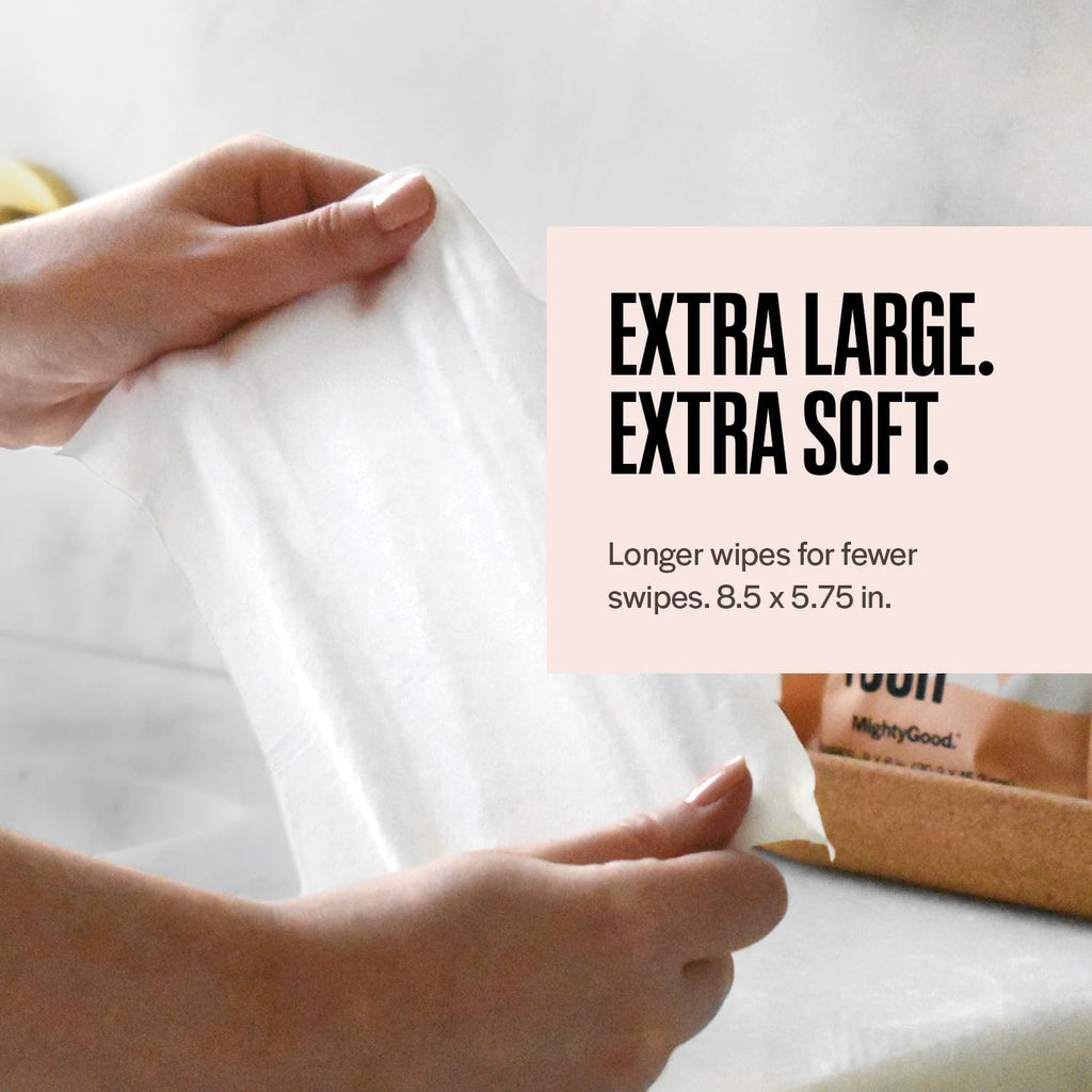 Wipe That Tush Flushable Wipes - 6 Packs of 50, 300 Total - Soothing Oatmeal Scent - Extra Large & Soft - Hypoallergenic With Aloe & Vitamin E - Septic-Safe