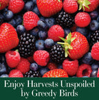 Dalen Bird-X Protective Mesh Netting for Fruit Trees & Berries - 28 x 28 ft