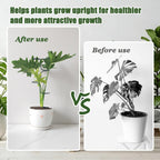 Indoor Plant Trellis Support, 4PCS Durable Metal in & Outdoor Trellis for Climbing Plants 15.7 Inch Metal Garden Stakes Plant Stem Holder Support for Potted Plants, Monstera, Flowers & Herbs (4PCS)