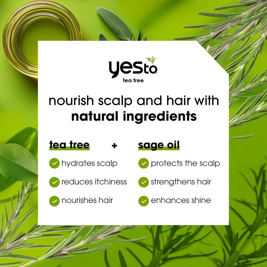 Yes To Tea Tree Scalp Relief Shampoo, pH Balancing Formula To Calm Dry Itchy Scalp While Moisturizing & Nourishing Hair, With Tea Tree & Sage Oil, Natural, Vegan & Cruelty Free, 12 Fl Oz 2PK