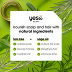 Yes To Tea Tree Scalp Relief Shampoo, pH Balancing Formula To Calm Dry Itchy Scalp While Moisturizing & Nourishing Hair, With Tea Tree & Sage Oil, Natural, Vegan & Cruelty Free, 12 Fl Oz 2PK