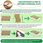 Sponges Kitchen Natural Dish Sponge Plant-Based Biodegradable Compostable Cellulose with Coconut Scrubber Sponge Non Scratch Eco Friendly Kitchen sponges for Kitchen Dishes（Pack of 24）