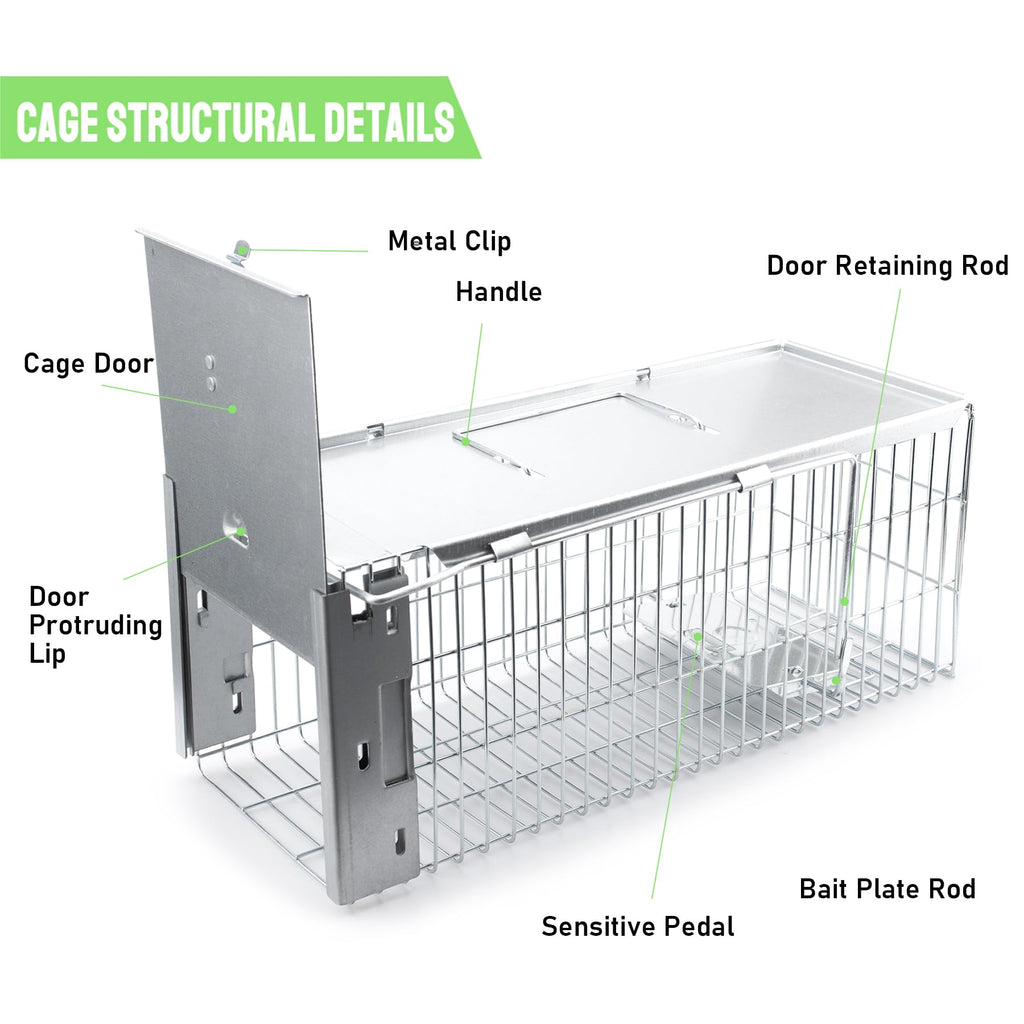 Faicuk Heavy Duty Squirrel Trap Chipmunk Trap Rat Trap and Other Similar-Size Rodents - 16.3” x 6” x 6.7”
